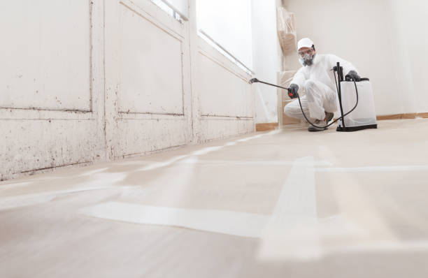 24/7 Emergency Mold Removal experts in Fountain, CO