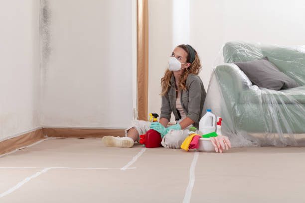Reliable Mold Remediation contractor in Fountain, CO by Cheap Mold Removal
